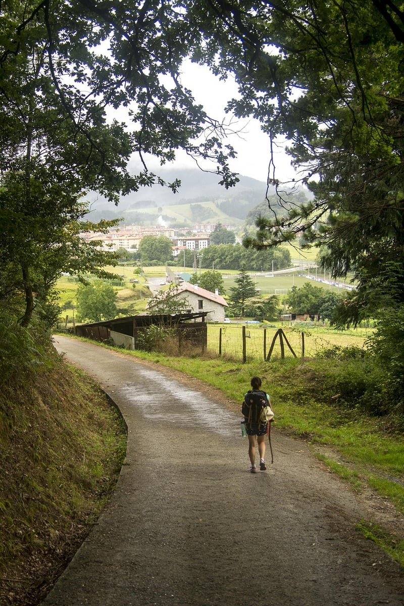 Temporal Wanderings